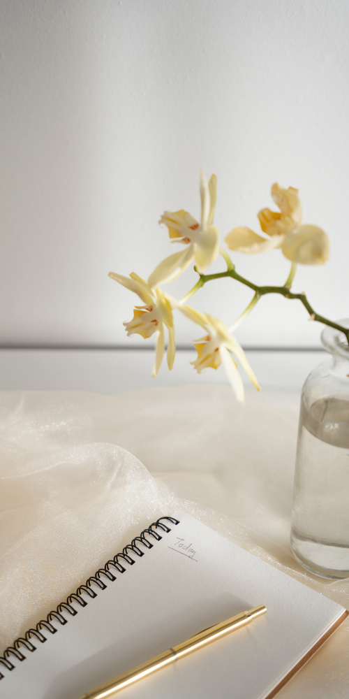 inspire forward coaching holistic career coach